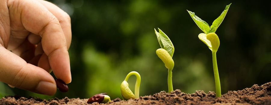 Očuvanje prirodnog uzgoja i autohtonog sjemenja; Put prema zdravijem životu..
